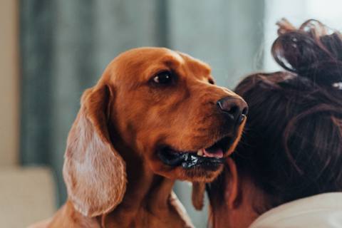 Om care își ține câinele în brațe, în timp ce sună la medicul veterinar